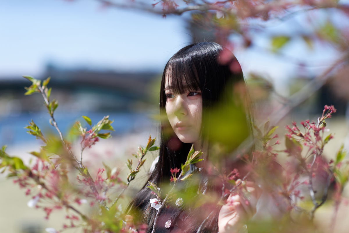 f:id:mac_papa:20220129170147j:plain