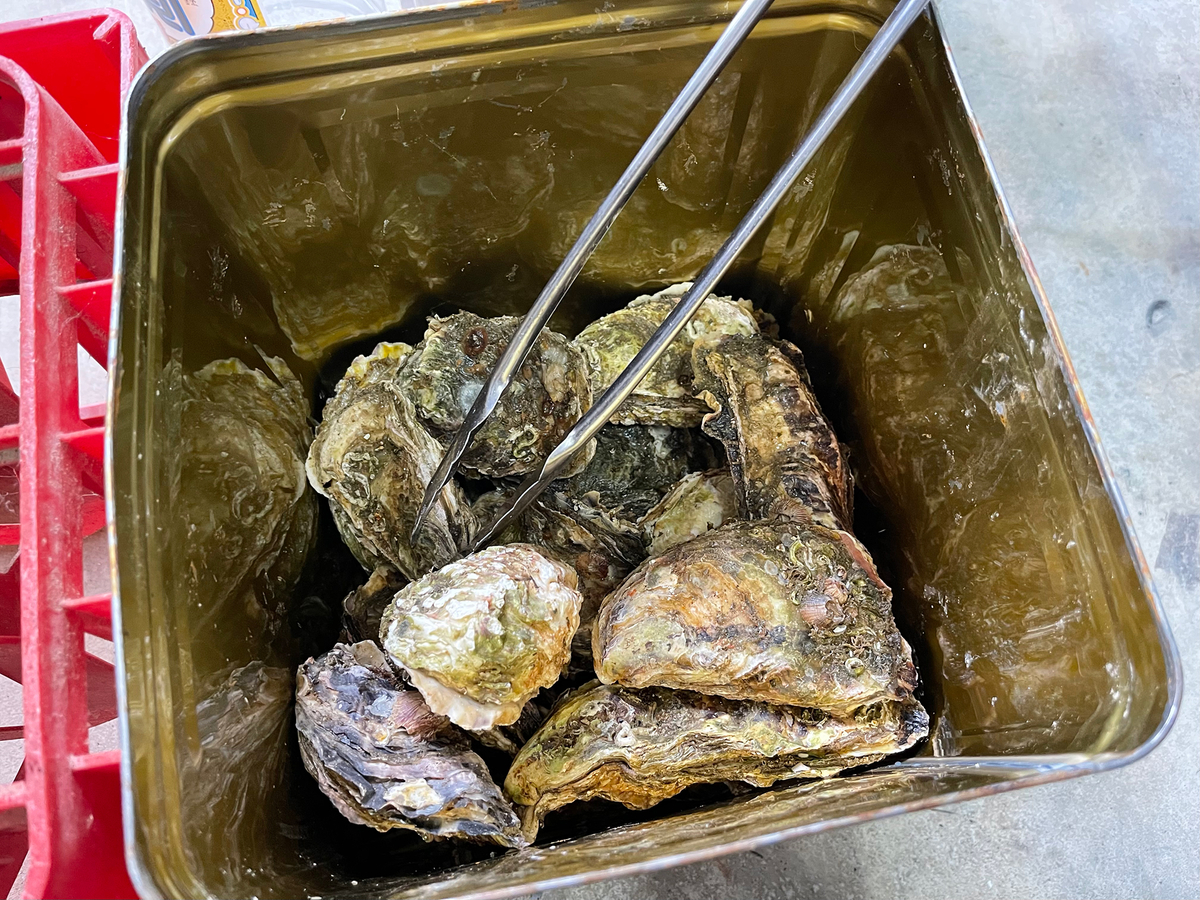 f:id:mac_papa:20220320184752j:plain