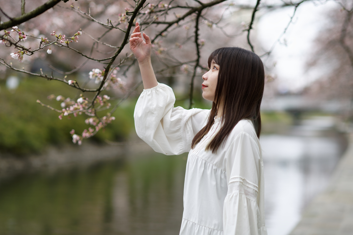 f:id:mac_papa:20220403205357j:plain