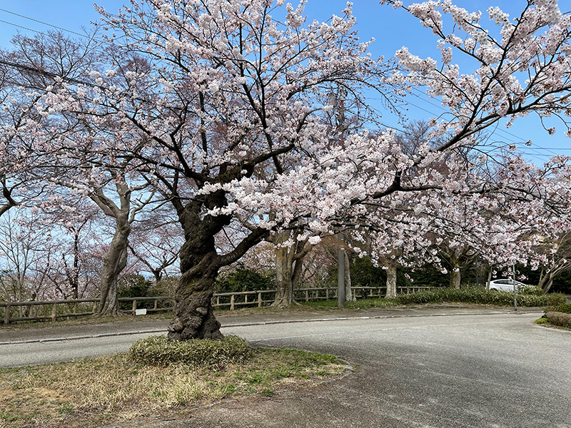 f:id:mac_papa:20220406155945j:plain