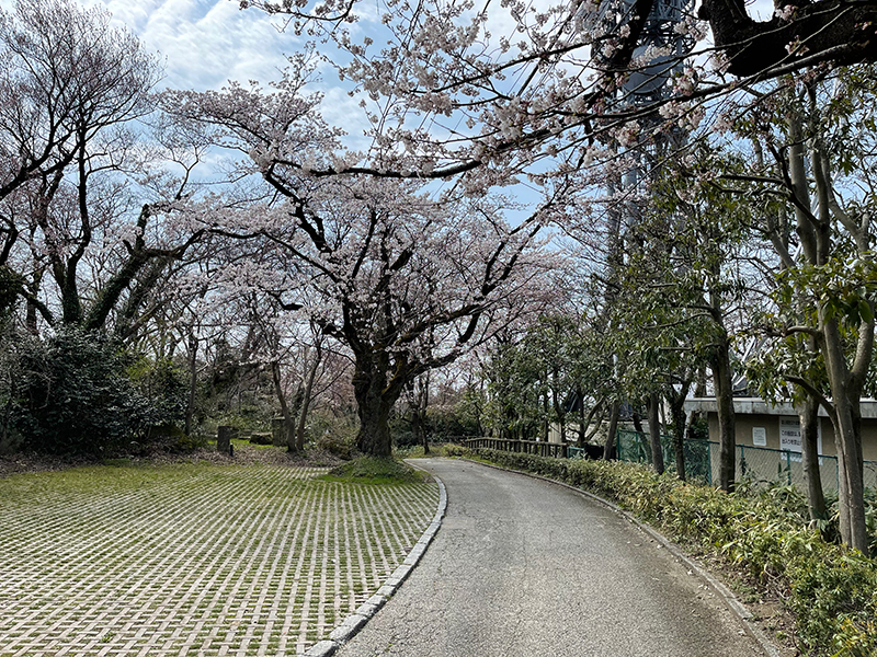 f:id:mac_papa:20220406155956j:plain