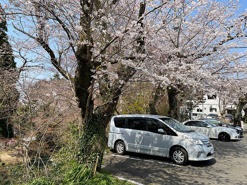 f:id:mac_papa:20220406160032j:plain