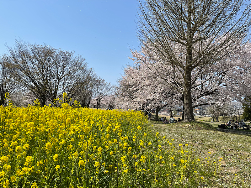 f:id:mac_papa:20220410144029j:plain