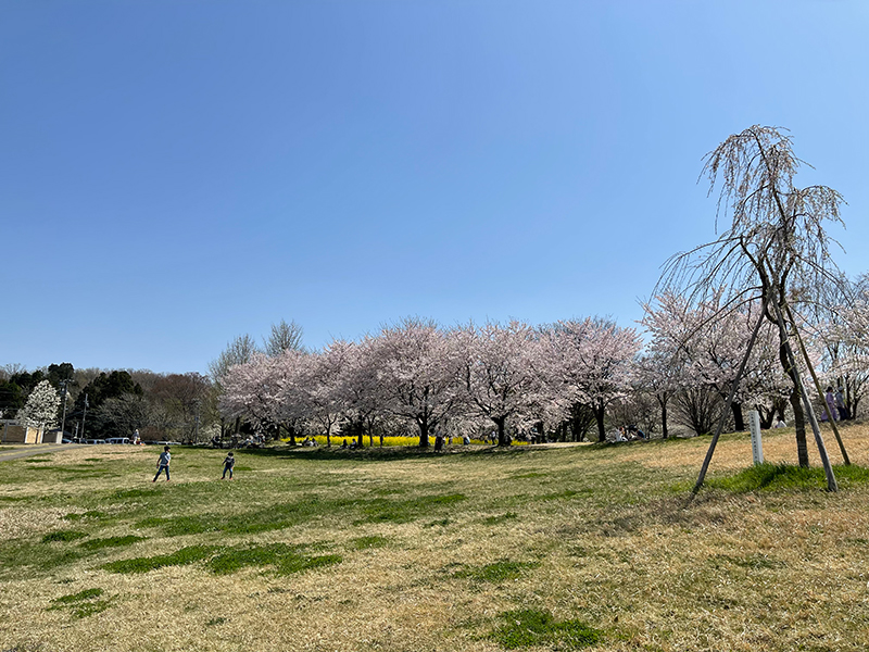 f:id:mac_papa:20220410144138j:plain