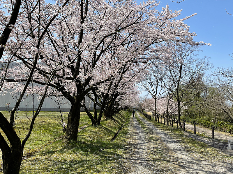 f:id:mac_papa:20220410144247j:plain