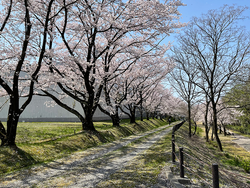 f:id:mac_papa:20220410144256j:plain