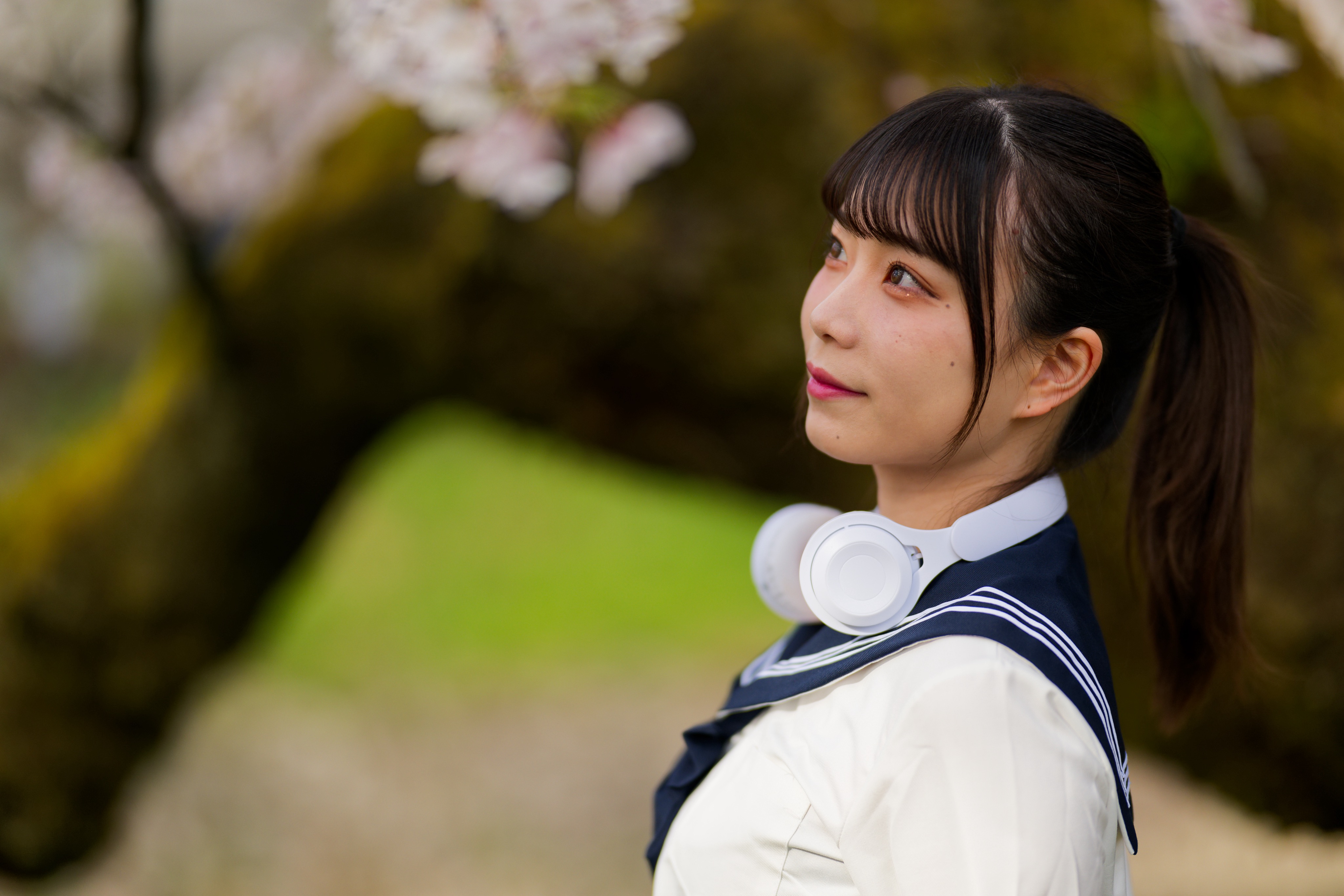f:id:mac_papa:20241003113748j:image