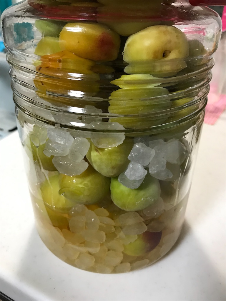 f:id:mac_taskaji:20190619230613j:image f:id:mac_taskaji:20190619230613j:image