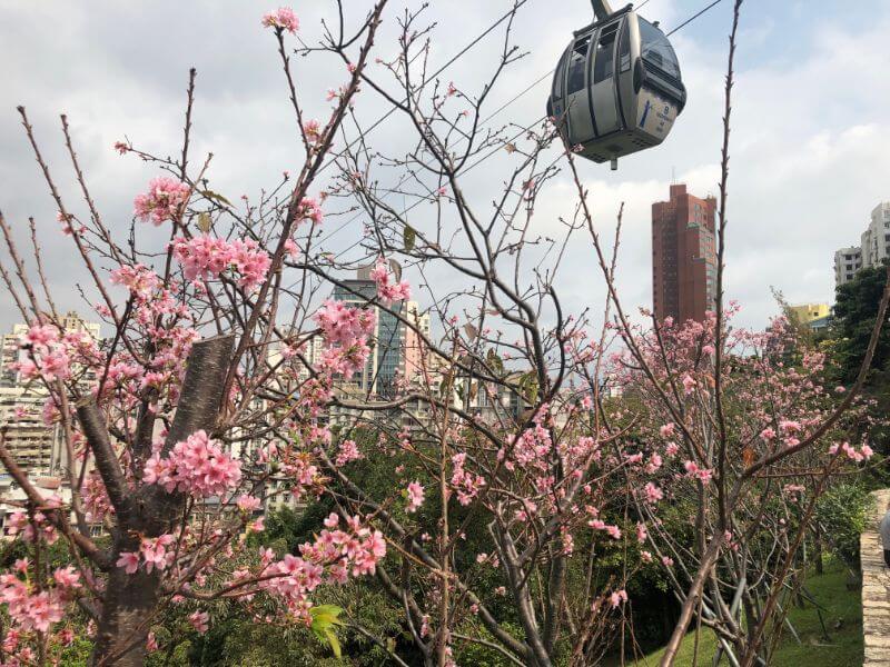 マカオ　東望洋山