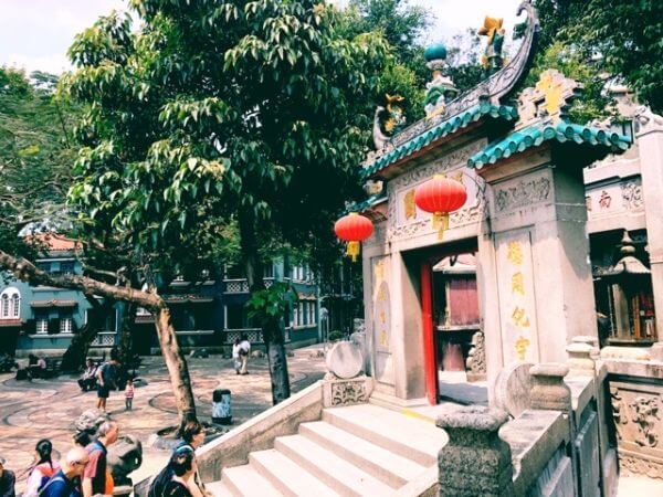 マカオ マッコウミュウ