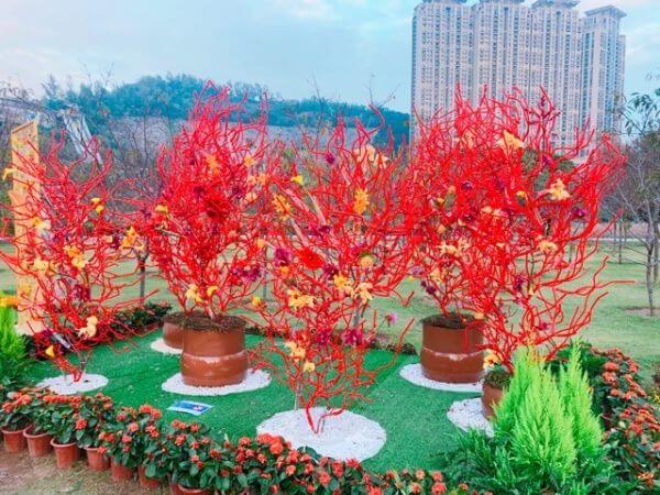 マカオ　年末年始　花