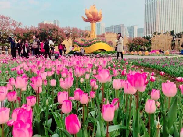 マカオ　年末年始　タイパ