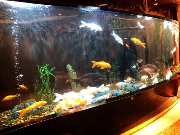 マカオ リスボア 開運