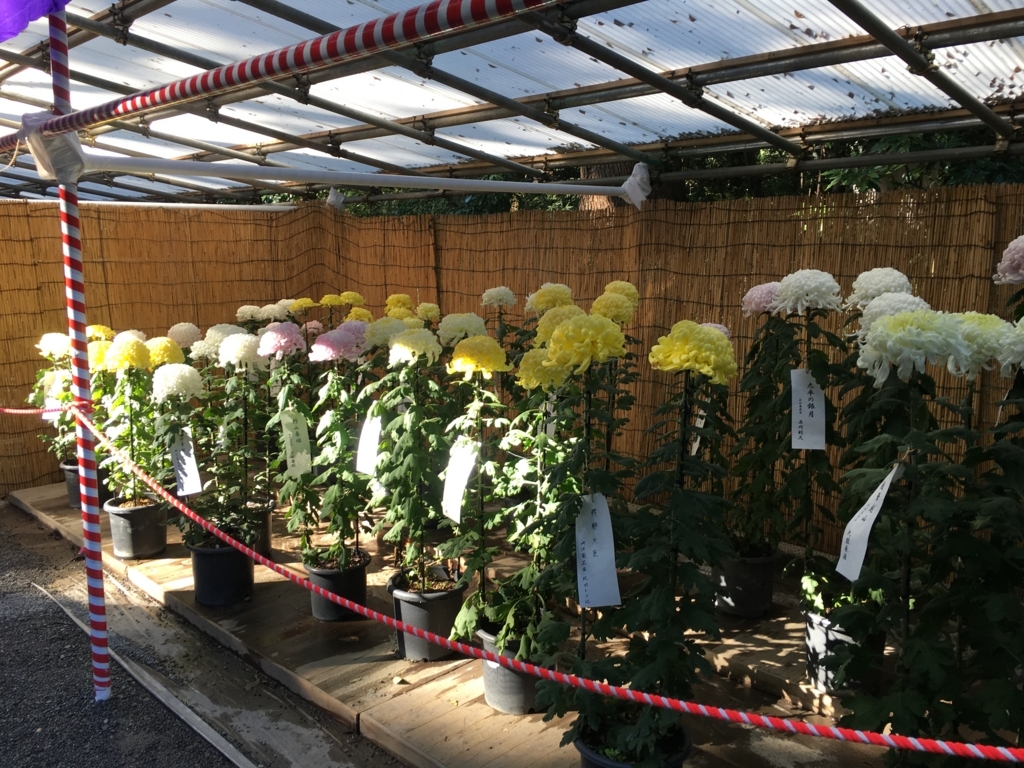 f:id:macaronblog:20171104142555j:plain f:id:macaronblog:20171104142555j:plain