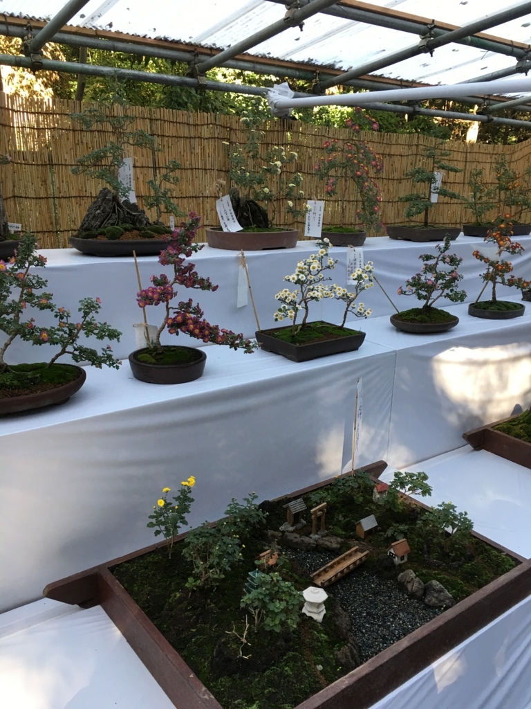 f:id:macaronblog:20171104142629j:plain f:id:macaronblog:20171104142629j:plain