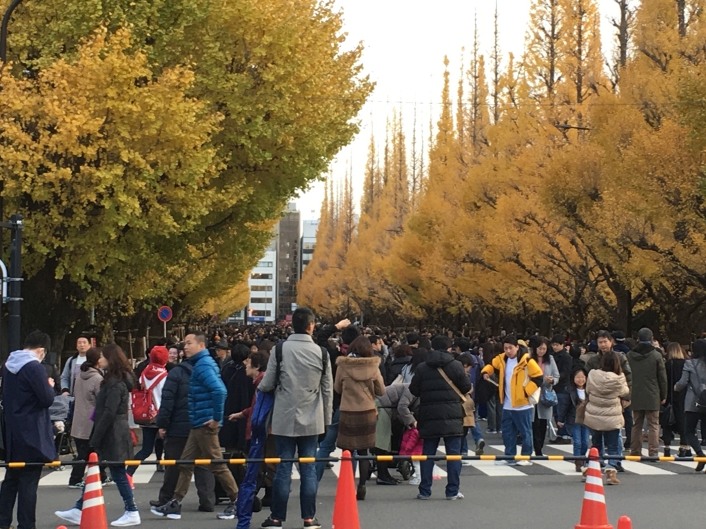 f:id:macaronblog:20171125200858j:plain