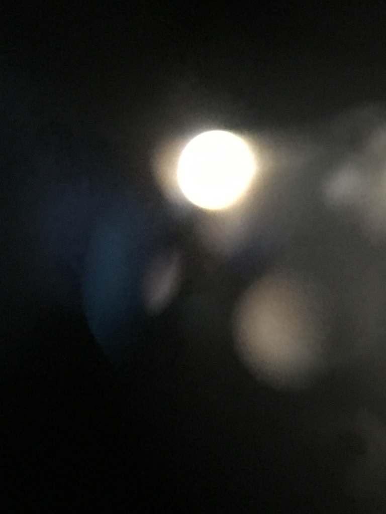 f:id:macaronblog:20180924203728j:plain f:id:macaronblog:20180924203728j:plain