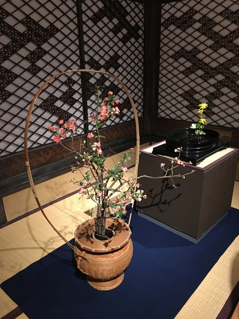 f:id:macaronblog:20181105145450j:plain f:id:macaronblog:20181105145450j:plain