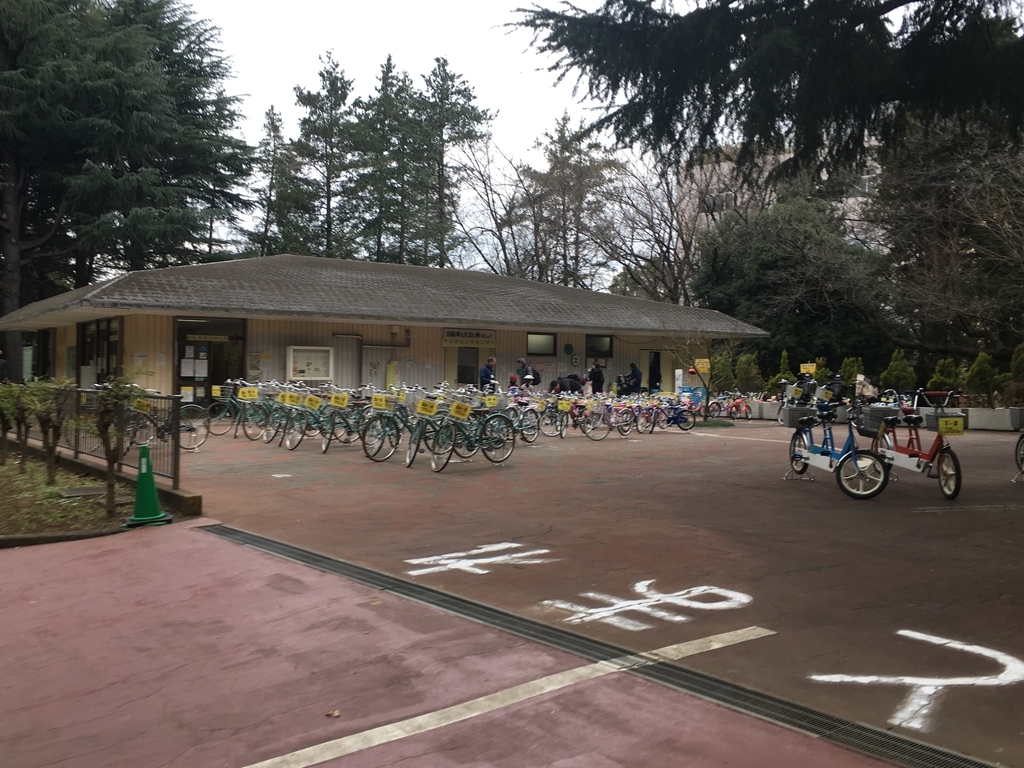 代々木公園で自転車の補助輪なし練習 Everyday