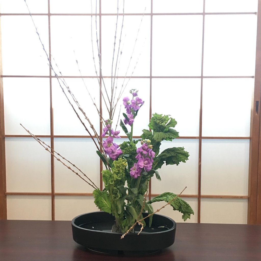 f:id:macaronblog:20190114174237j:plain f:id:macaronblog:20190114174237j:plain