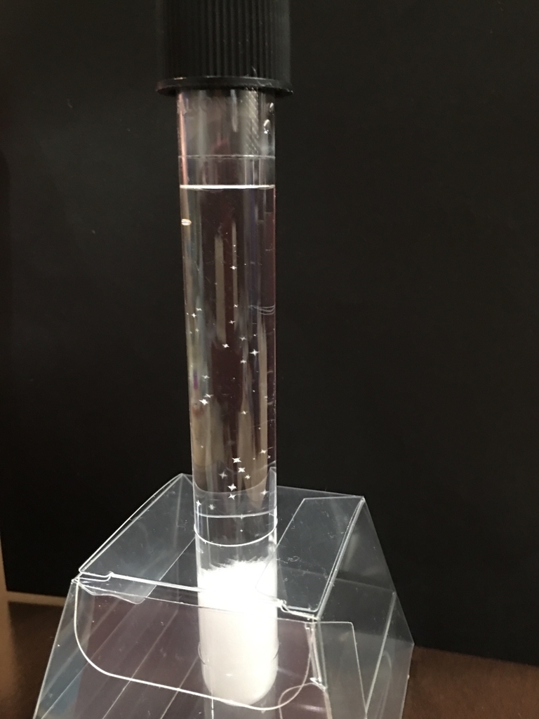 栄光の理科実験教室に行ってきました Everyday