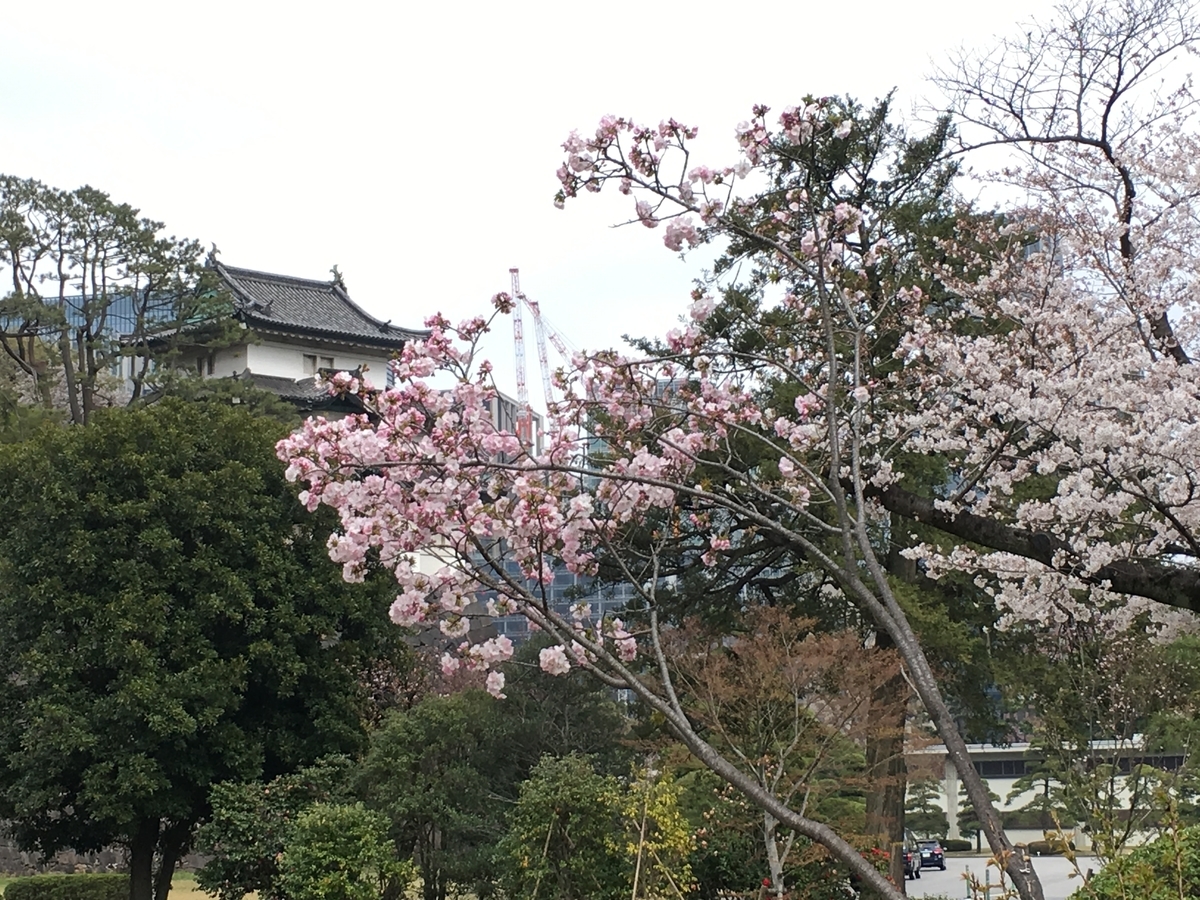 f:id:macaronblog:20190330200737j:plain