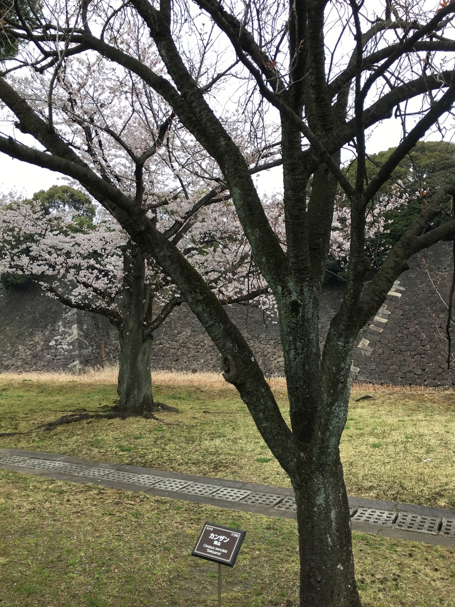 f:id:macaronblog:20190330200904j:plain