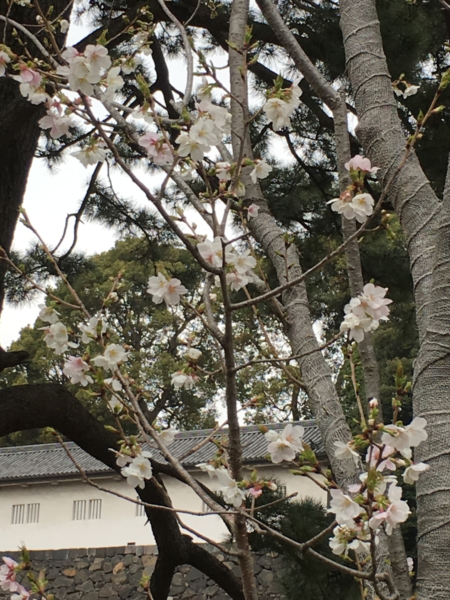 f:id:macaronblog:20190330201050j:plain