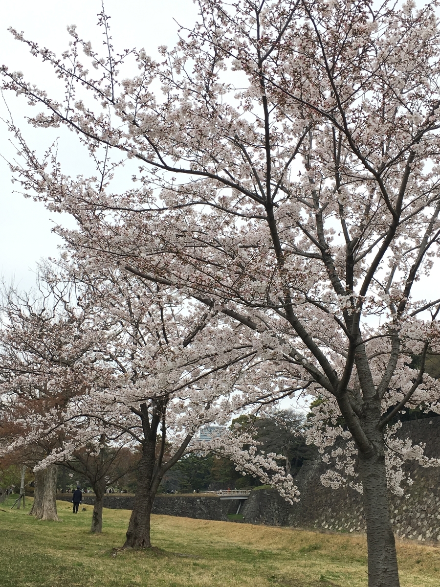 f:id:macaronblog:20190330201205j:plain