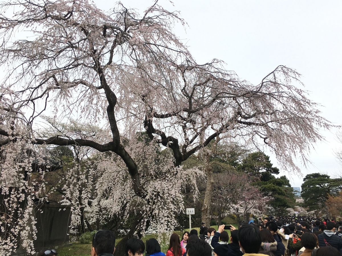 f:id:macaronblog:20190330201233j:plain