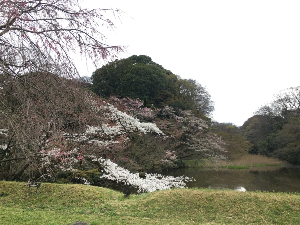 f:id:macaronblog:20190330201326j:plain
