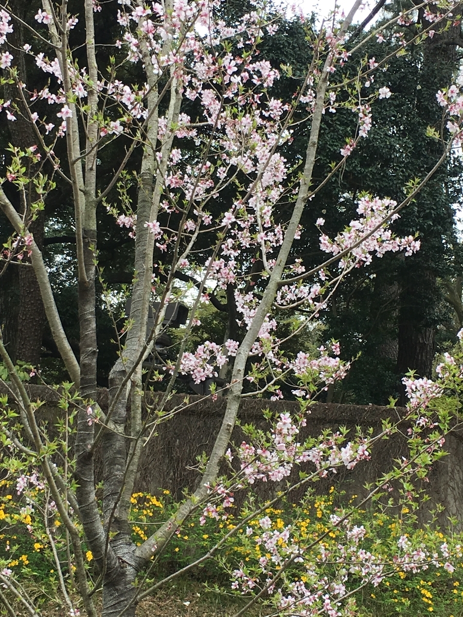 f:id:macaronblog:20190330201412j:plain