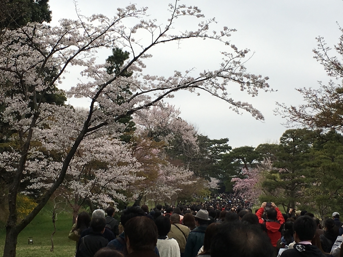 f:id:macaronblog:20190330201436j:plain