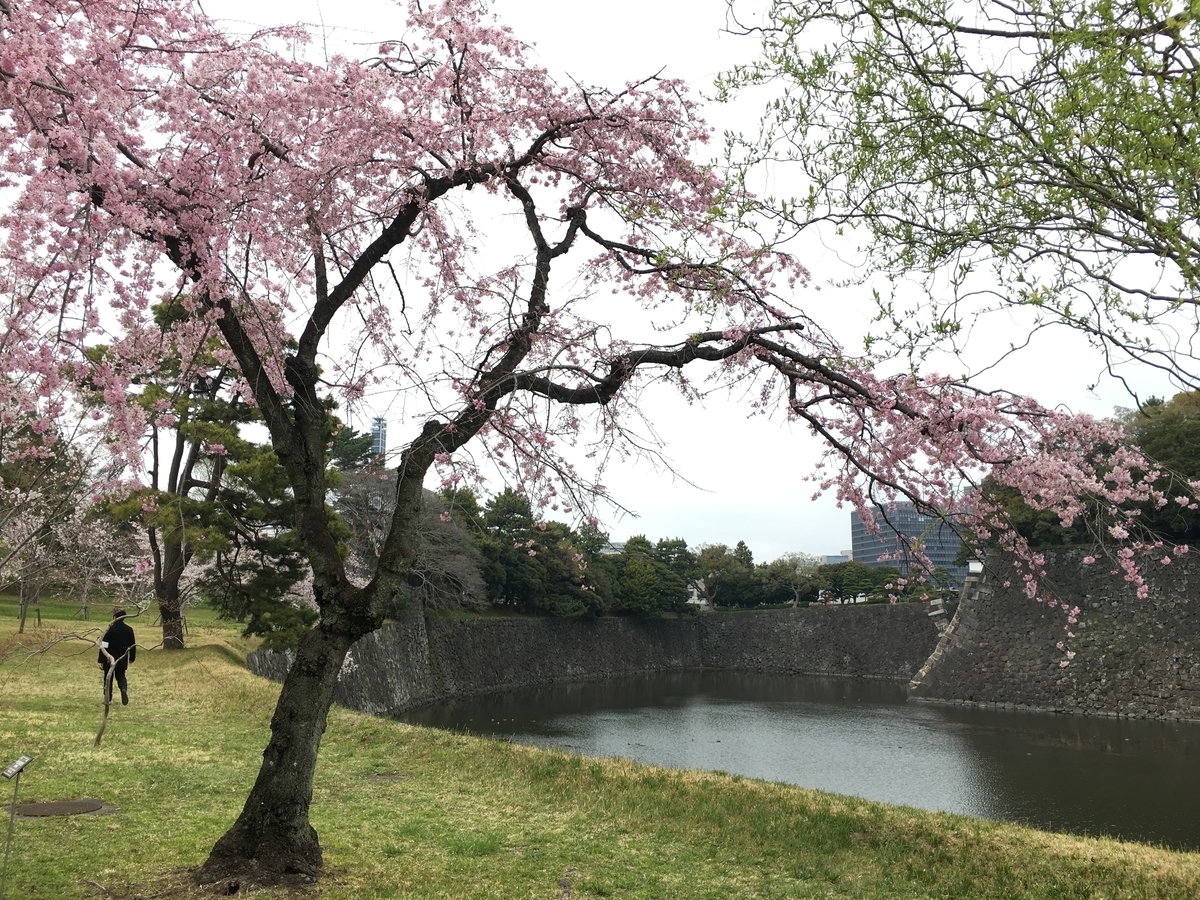 f:id:macaronblog:20190330201606j:plain