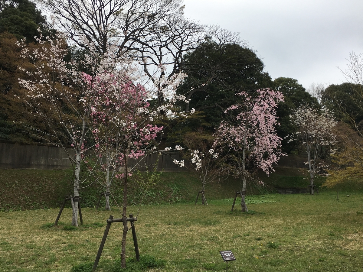 f:id:macaronblog:20190330201654j:plain