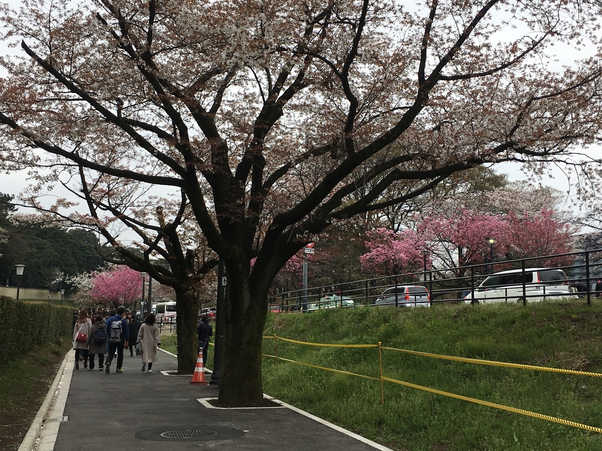 f:id:macaronblog:20190330201809j:plain