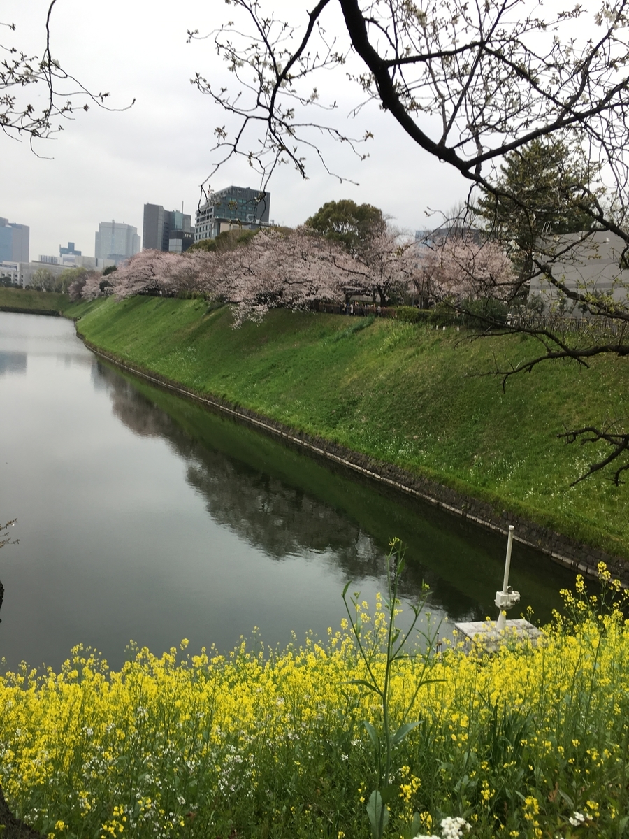 f:id:macaronblog:20190330202006j:plain