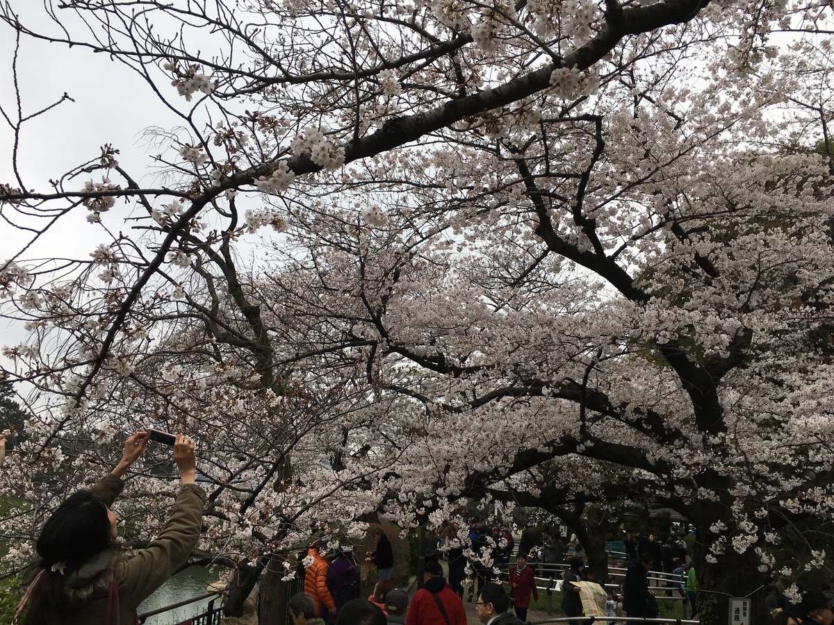 f:id:macaronblog:20190330202053j:plain