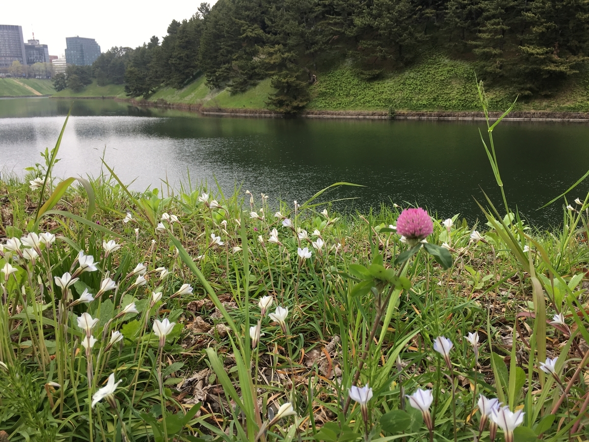 f:id:macaronblog:20190330202117j:plain