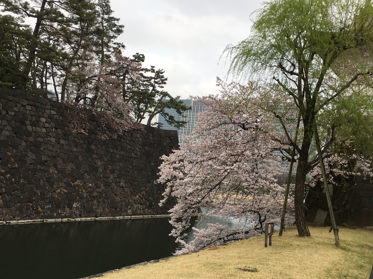 f:id:macaronblog:20190330202245j:plain
