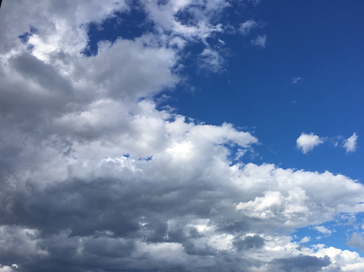 f:id:macaronblog:20190801200830j:plain f:id:macaronblog:20190801200830j:plain