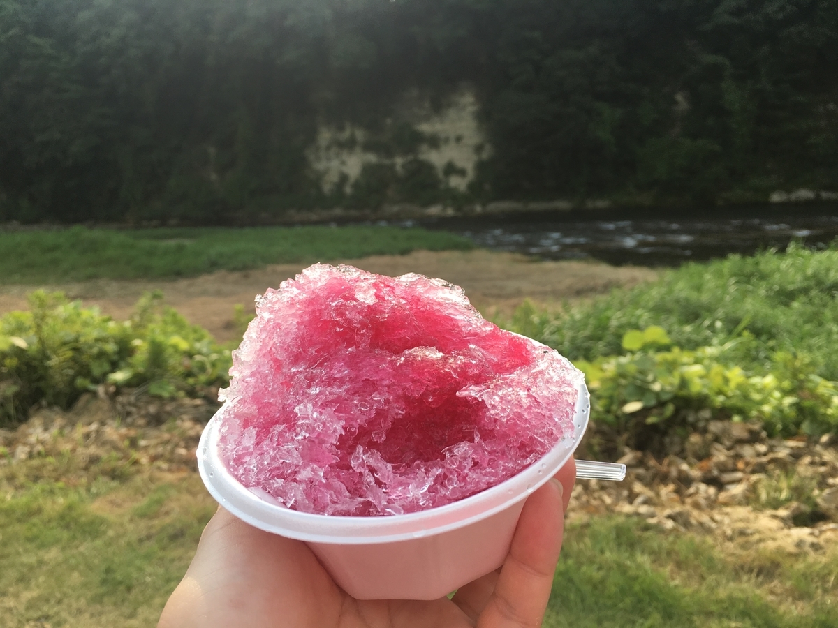 f:id:macaronblog:20190804202455j:plain