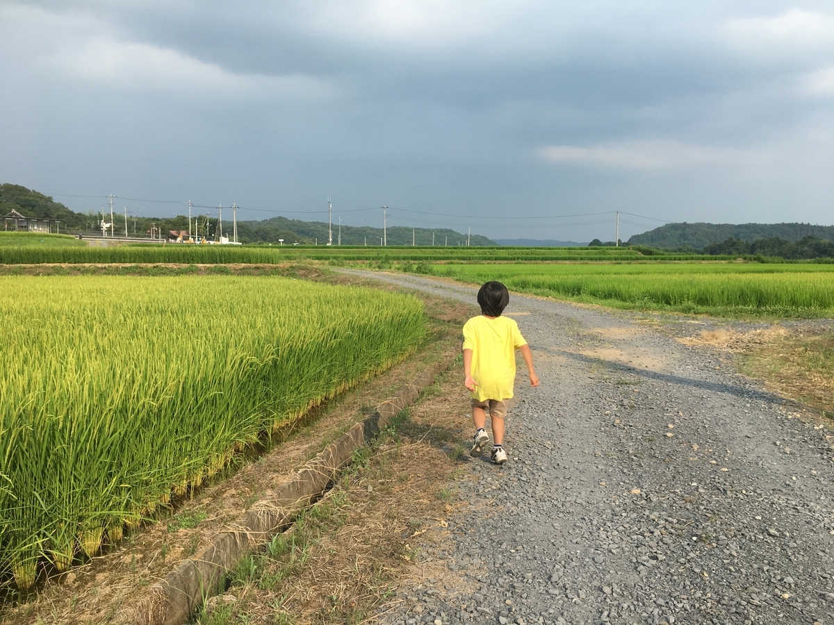 f:id:macaronblog:20190804202638j:plain