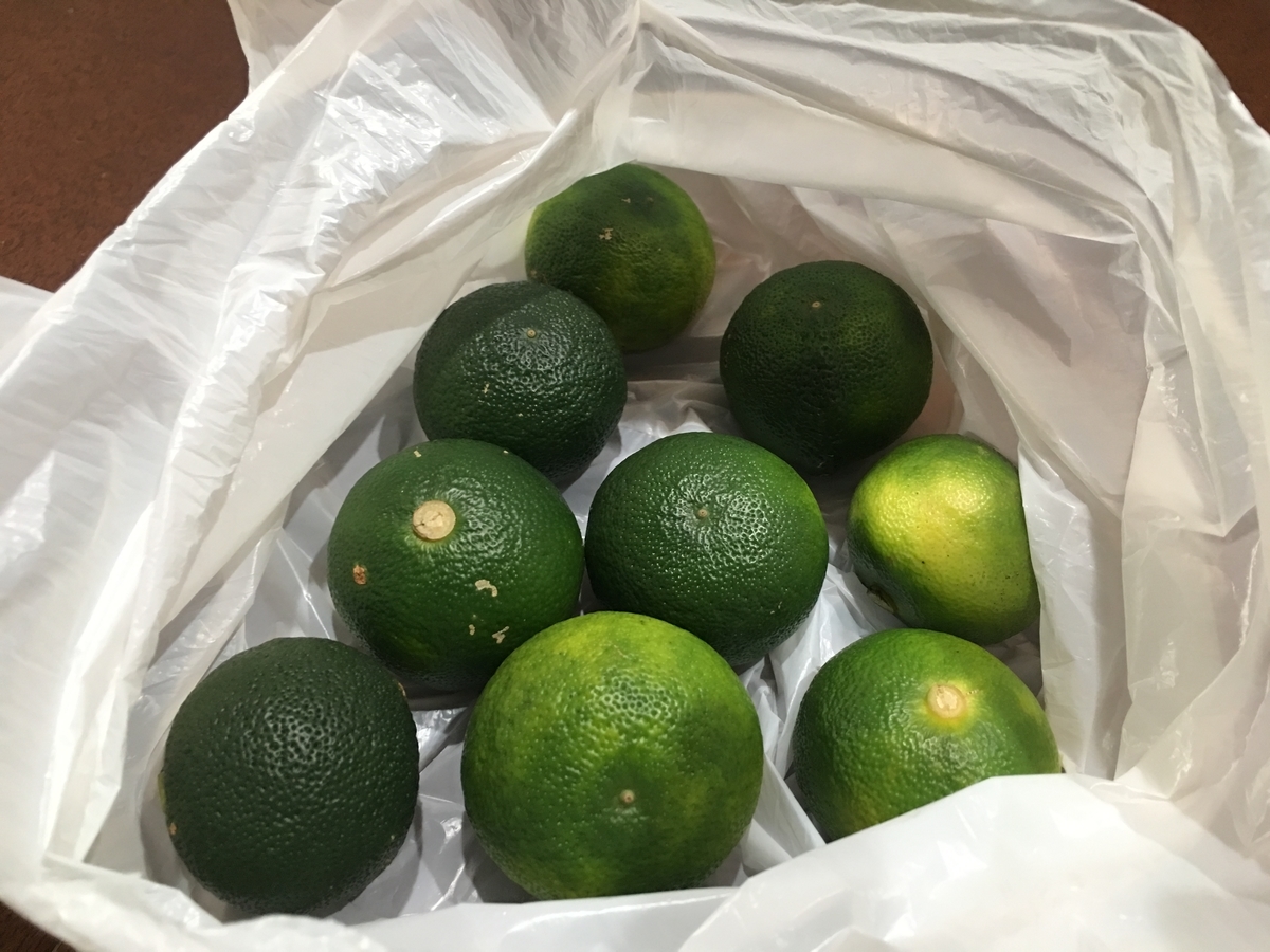 f:id:macaronblog:20190912125308j:plain