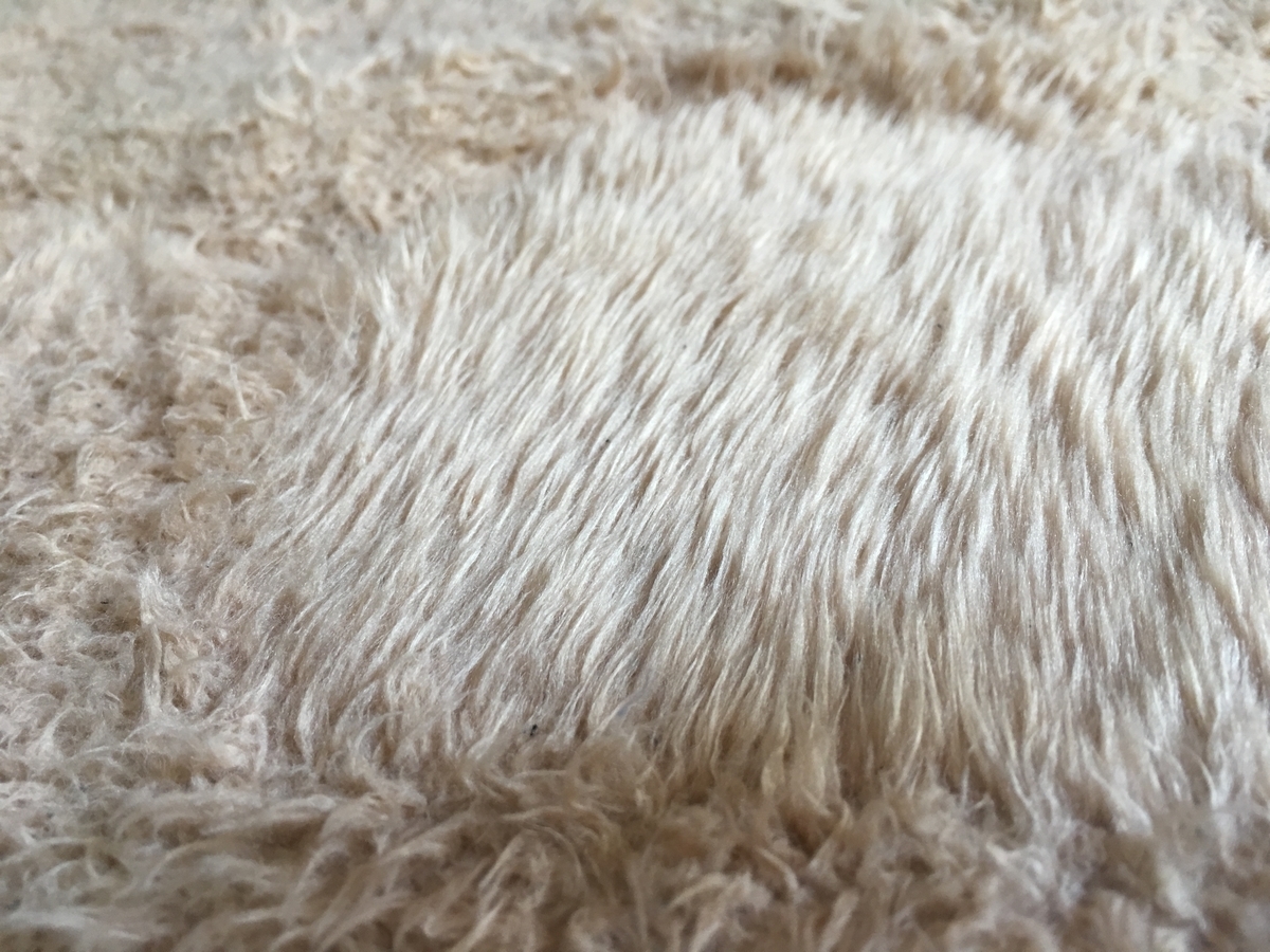 f:id:macaronblog:20191109221933j:plain