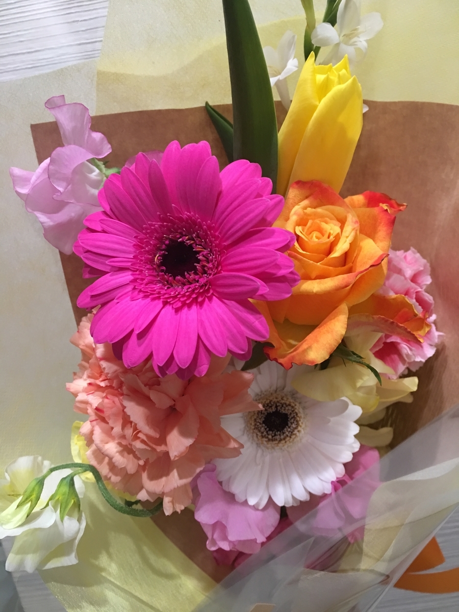 f:id:macaronblog:20200325223716j:plain f:id:macaronblog:20200325223716j:plain