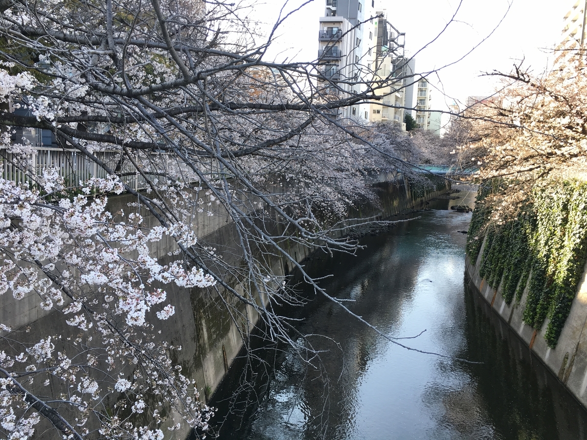 f:id:macaronblog:20200326222817j:plain