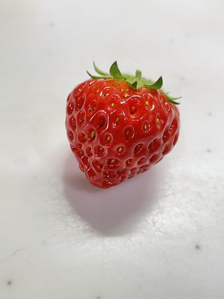 f:id:macaronblog:20210502194022j:plain