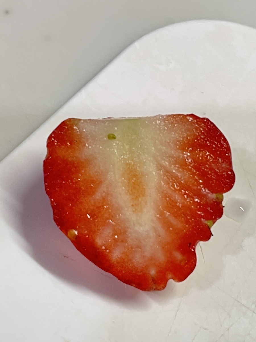 f:id:macaronblog:20210502194112j:plain