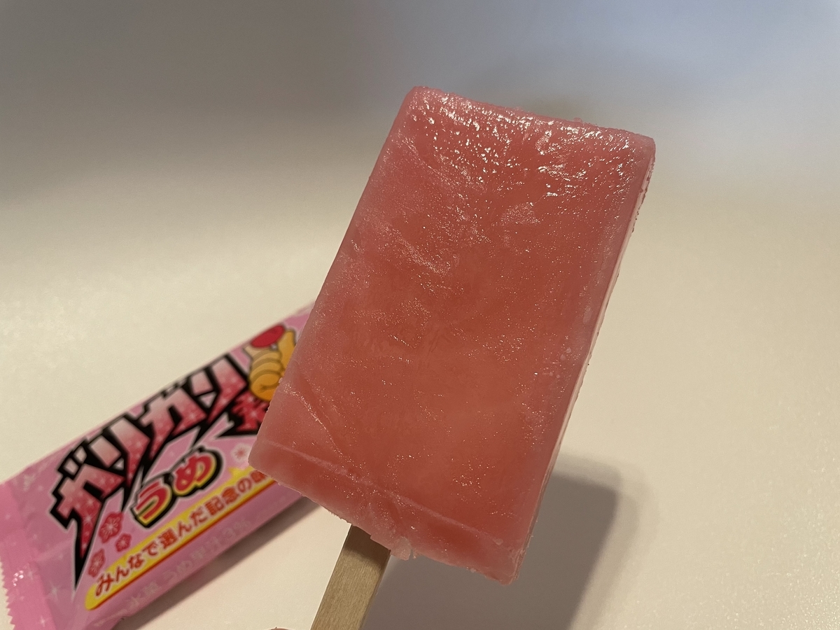 f:id:macaronblog:20210608203505j:plain